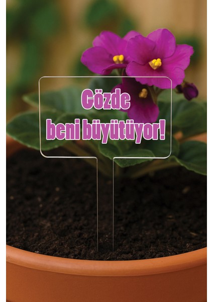 Kişiye Özel Isim Kelime Yazılı Uv Baskılı Şeffaf Dekoratif Pleksi Saksı Süsü - Dizayn 13