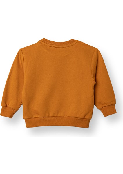 Erkek Bebek Sweatshirt Şardonlu Iki Iplik Uzun Kol fiyatları
