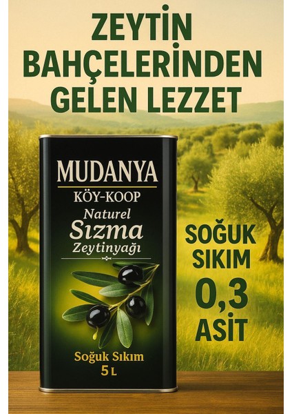 Soğuk Sıkım Sızma Natürel 5lt (4800GR) Zeytinyağı