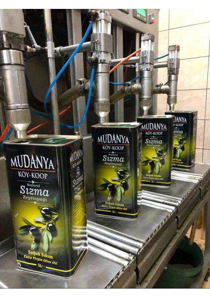 Soğuk Sıkım Sızma Natürel 5lt (4800GR) Zeytinyağı indirimleri