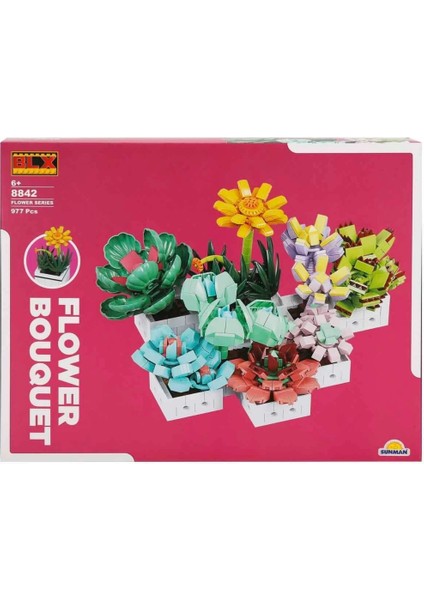 Bfs Sukulent Çiçek Buketi 8842 fiyatları