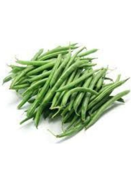 Acebek Tohumu Börülce Tohumu 15 Adet Tohum Fasulye Tohumu fiyatları