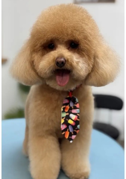 Ayarlanabilir Kedi ve Köpek Kravatı, Ananas ve Muz fırsatları