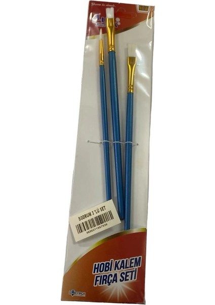 Luna Bodrum Hobi Kalem Fırça Seti 3 Parça