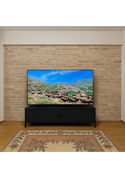 Kendinden Askı Aparatlı Metal Tv Ünitesi 170 cm Büyük Ekran Tv Uyumlu 65" - 75" Inç modelleri