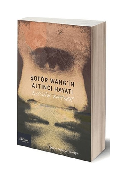 Şoför Wang’in Altıncı Hayatı