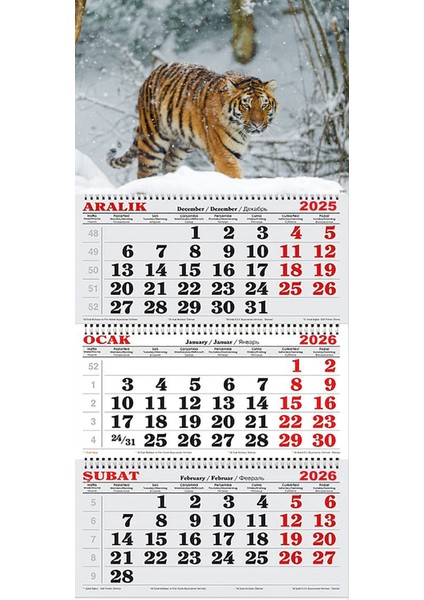 2026 Yılı Gemici Takvimi- Sibirya Kaplanı