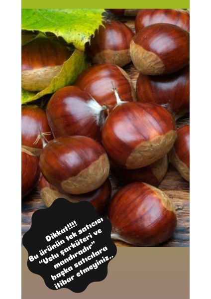 Ödemiş Kebap Kestane Yeni Mahsül 1kg. (Iri Boy)