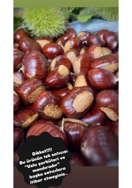 Ödemiş Kebap Kestane Yeni Mahsül 1kg. (Iri Boy) modelleri