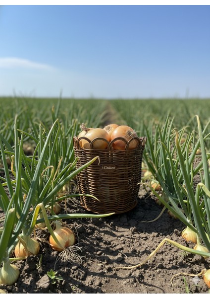 Raddancore Büyük Boy Soğanlık/soğan Sepeti fırsatları