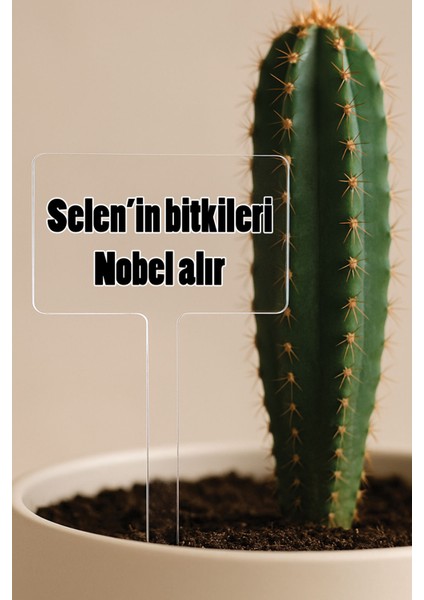 Kişiye Özel Isim Kelime Yazılı Uv Baskılı Şeffaf Dekoratif Pleksi Saksı Süsü - Dizayn 12