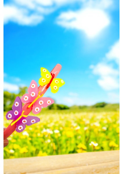 Çocuk Kelebek Figürlü Parlak Renklerde Taç