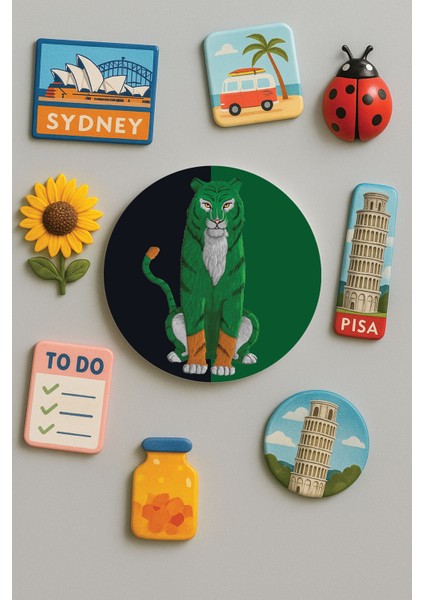 Modern ve Dekoratif Yuvarlak Buzdolabı Magneti Magnet Büyük Boy 10X10 cm - Rangetiger