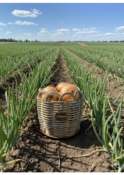 Raddancore Küçük Boy Soğanlık/soğan Sepeti fırsatları