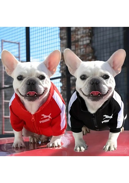 Kedi ve Köpek Için Kapüşonlu Kışlık Sweat fiyatları