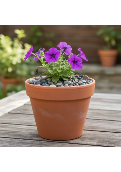 Doğal Dekoratif Akvaryum & Saksı Çakıl Taşı – Karışık Renkli (1 Kg) fırsatları