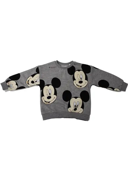 Gri Mıckey Mouse Eşofman Tk. fiyatları