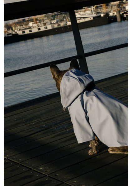 Köpek Yağmurluk - Mavi modelleri