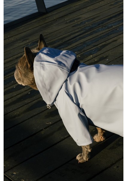 Köpek Yağmurluk - Mavi fırsatları