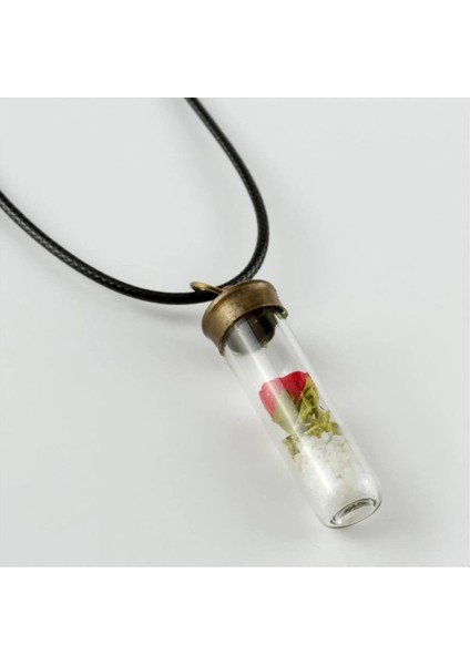 Gül Fanus Canlı Kolye fiyatları