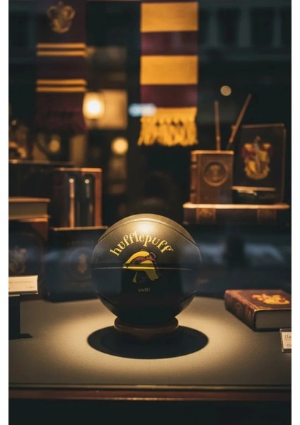 Harry Potter Zıplayan Top (4 Çeşitli Model) (Pdq) modelleri