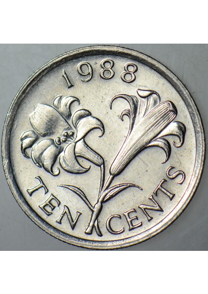 Bermuda 10 Cent 1988 Bermuda Zambağı Temalı. Kraliçe Iı. Elizabeth. Çilaltı fiyatları