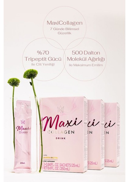 Maxicollagen 7 Günde Etkili Tripeptit Kolajen, Hyaluronik Asit, Seramid (30 Şase)