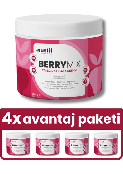 Berry Mix Orman Meyveli Toz Karışım 100G X4