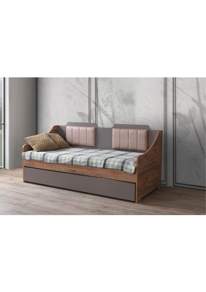 Bob Yavrulu Sedir Karyola