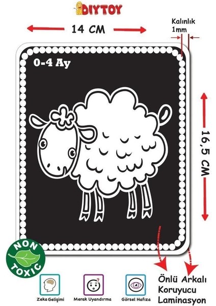 1369 Flash Cards Bebeğimin Ilk Zeka Kartları -Dıytoy modelleri