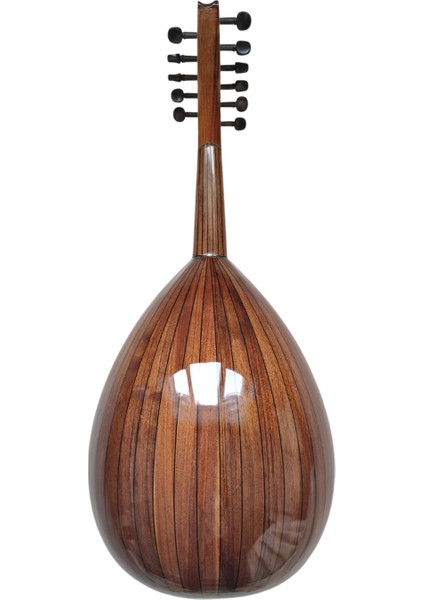 Sultan Instrument BL2500 Profesyonel Ud (Ceviz) fiyatları