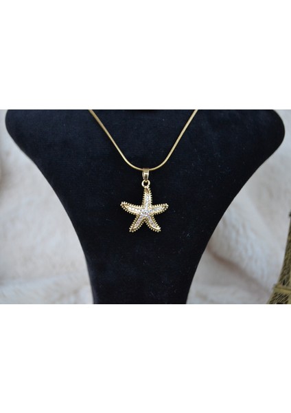 Deniz Yıldızı Temalı Çelik Kolye fiyatları