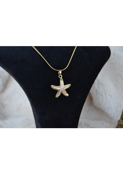 Deniz Yıldızı Temalı Çelik Kolye modelleri