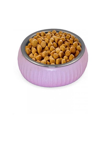 Mikopet Organik Seramik Mama Kabı Pembe fiyatları