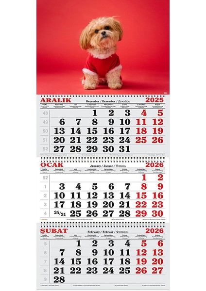 2026 Yılı Gemici Takvimi- Noel Kıyafetli Shih Tzu