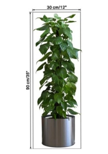Saksılı Bitki Tasarımlı Yapışkanlı Sticker Resim 90*30 cm (5324) fırsatları