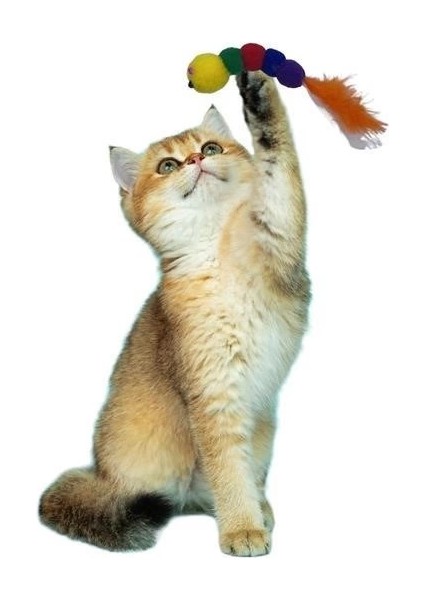 Yumuşacık Ipli Tırtıl Şeklinde Rengarenk Sevimli Evcil Hayvan Oyuncağı fiyatları