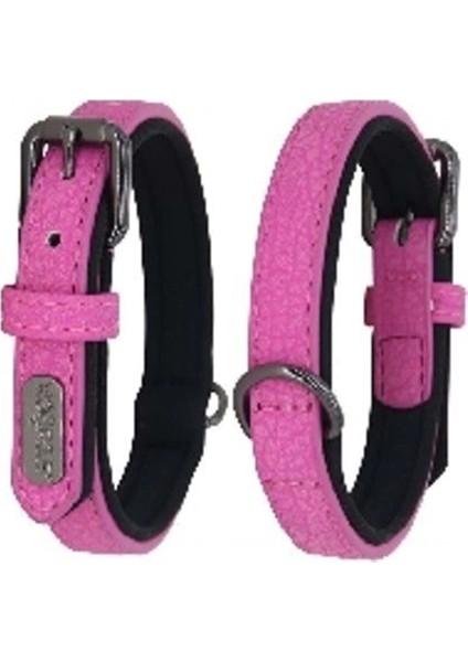 Boyun Tasması 2,5 cm