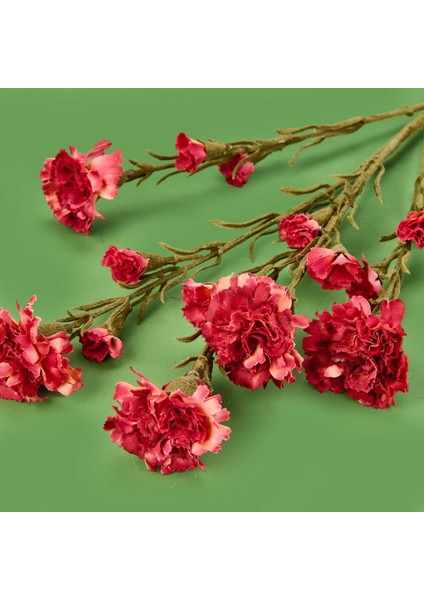 Deco Kranfil Dal Çiçek - Kırmızı - 68 cm modelleri