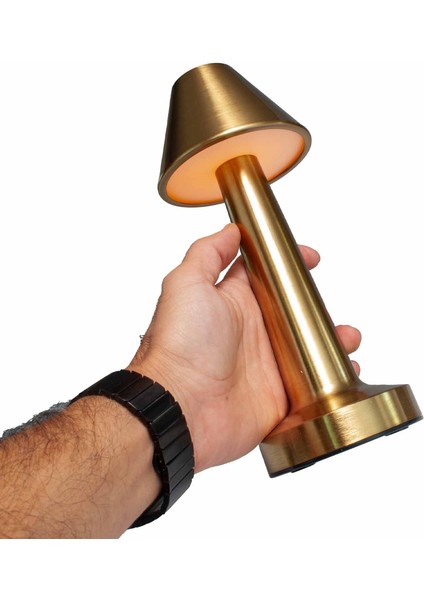 Şarjlı Dokunmatik Metal Masa Lambası | Mantar & Şemsiye Tasarım | Üç Kademe Işık Ayarı, Taşınabilir, USB ile Şarj Edilebilir Dekoratif Gece Lamba fırsatları