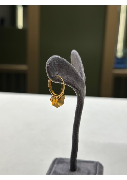 4.23 Grm (Gram) Şakira Küpe 22 Ayar Altın fiyatları