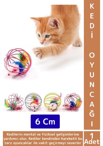 Evcil Hayvan Ilgi Çekici Eğlenceli Vakit Zihinsel Gelişim Kafesli Fareli Kedi Köpek Oyun Topu