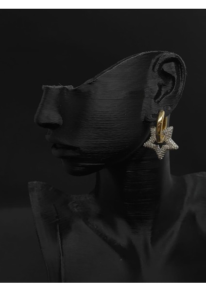 Zirkon Taşlı Küpe fiyatları