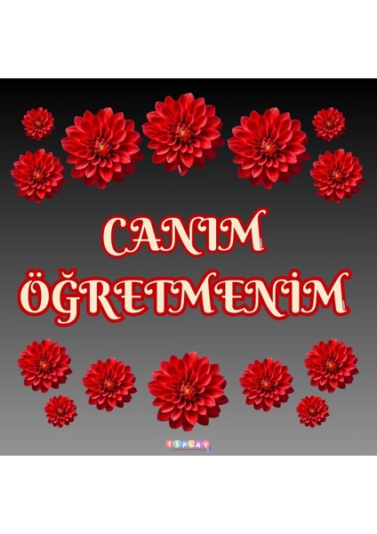 Canım Öğretmenim Pano Süsü fiyatları