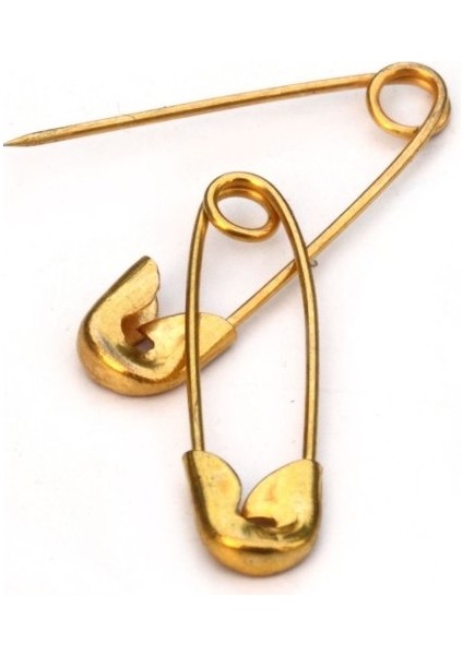 Çengelli Iğne Kutulu 50 Adet fiyatları