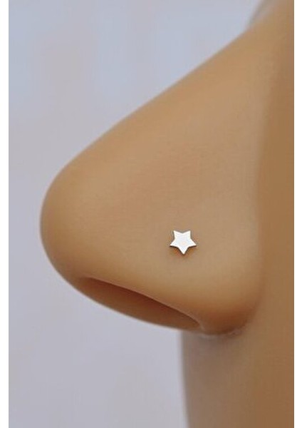 316 L Yıldız Hızma Burun Piercingi Gümüş Renkli indirimleri