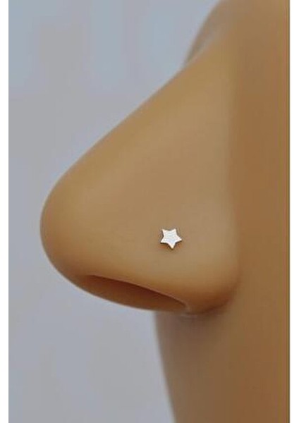 316 L Yıldız Hızma Burun Piercingi Gümüş Renkli
