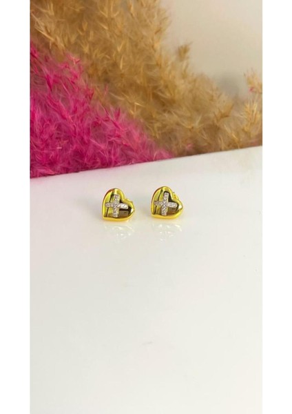 x Kalp Küpe fiyatları