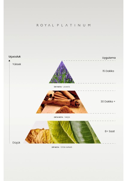 M576 Erkek Parfüm fiyatları