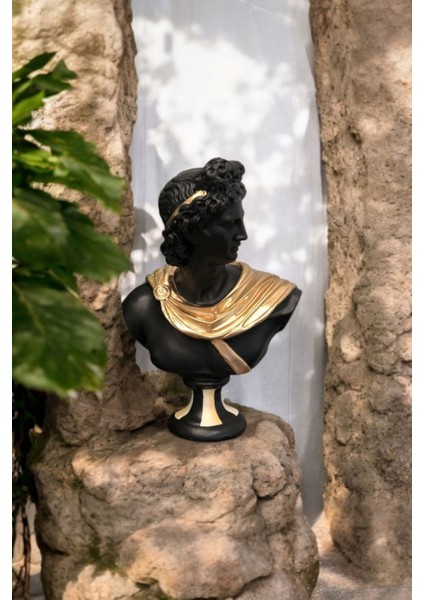 Dekoratif Apollo Büst fiyatları